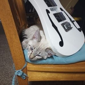 Meet your Posher, Elliot